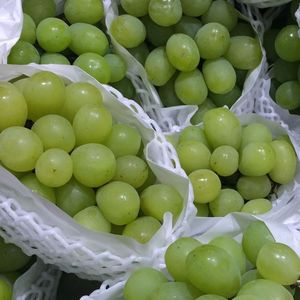 シャインマスカット (Food Music)