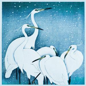 Sweet Nights (feat. Rose Bonbon)