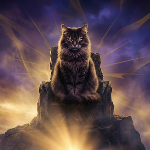 俺様、無敵のねこ様ひれ伏せ！