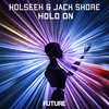 Holseek - Hold On