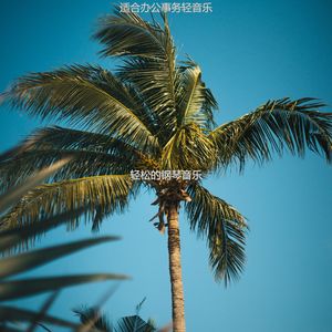 适合正在学习美丽的音乐