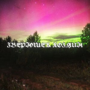 Троллинг порчей