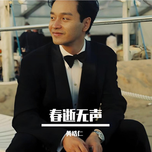 春逝无声(怀念哥哥) 伴奏版