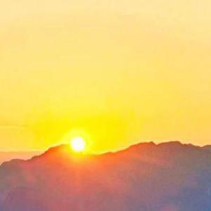 我们相遇得太晚了