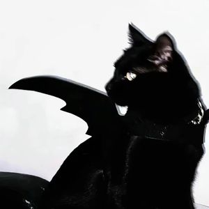 我管不住我自己