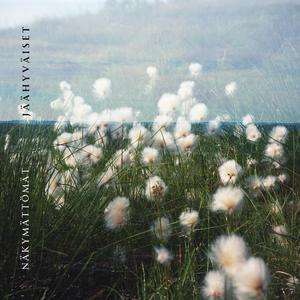 Jäähyväiset (Single Edit)