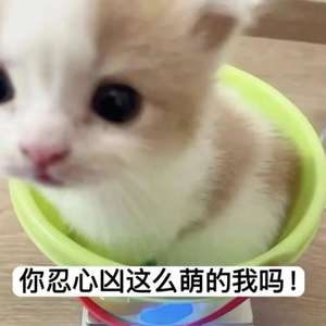 乐乐