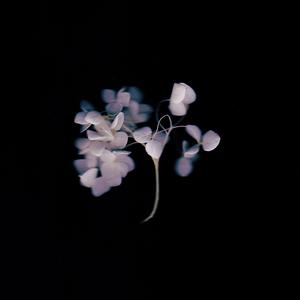 you never know (piano ver.)