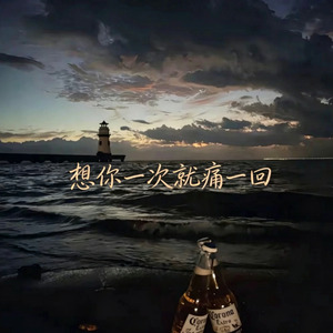 想你一次就痛一回