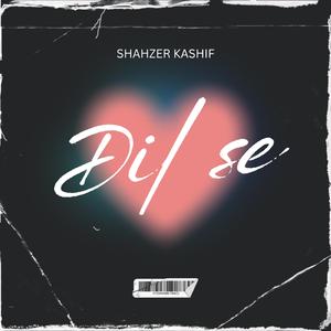 Dil Se