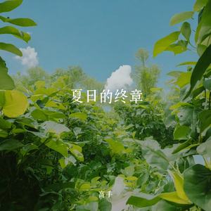 夏日的终章