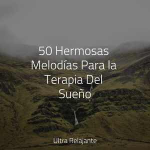 Desvanecimiento