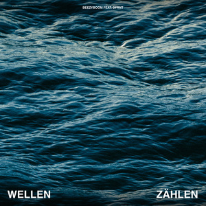 Wellen Zählen