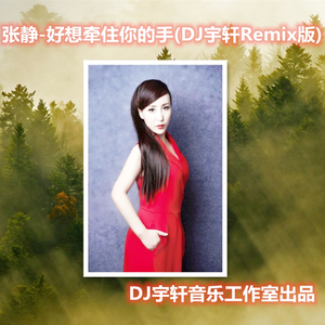 好想牵住你的手(DJ版)