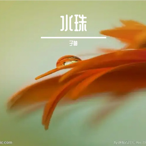 宸ヤ笟浜掕仈缃戠殑鍙戝睍