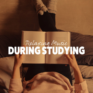 Homework Lesson
