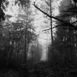 3 MINUTOS PVRV RESPIRVR