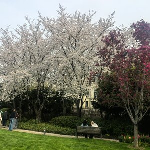 青春欠我的圆满，是你缺席的后来