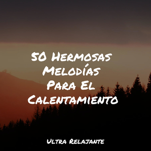 Crepúsculo Desde La Ventana