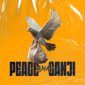 Peace Ama Ganji