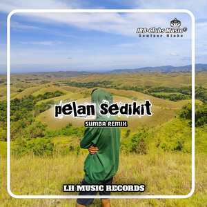 DJ PELAN SEDIKIT REMIX PARTY