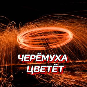 ЧЕРЁМУХА ЦВЕТЁТ