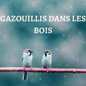 Gazouillis Dans Les Bois