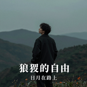 狼狈的自由