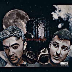 PÍŠEM TO KEĎ SPÍŠ (feat. SHARECC)