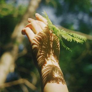 明天又是明媚的一天