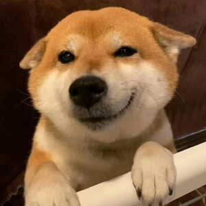 明天会更好