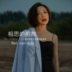 相思的煎熬 (DJ阿鹏版)