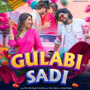 Gulabi Sadi