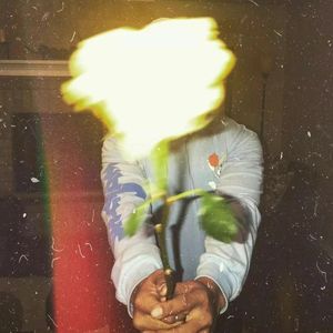 洛天依-红昭愿（DJ智海Remix remix）