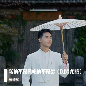 等的不是风盼的不是梦（DJ译龙版）