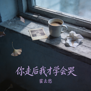 你走后我才学会哭