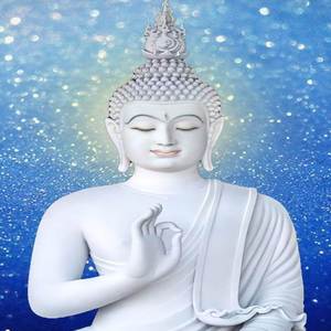 Lời Phật Dậy - Quay Về