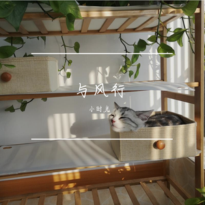 与风行（翻自 语奕儿）