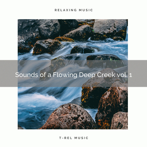 Sounds of a Flowing Bright Creek vol. 2