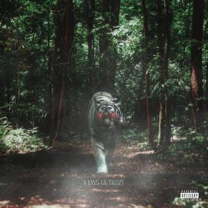 初生牛犊不怕虎