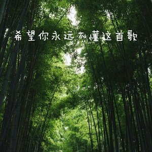 不写情歌(cover徐良)