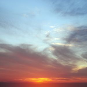 梦想在竹林中轻舞