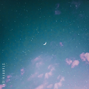 StarryNight(Inst.)