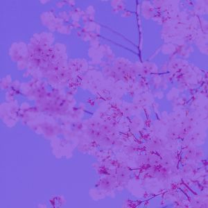 柔和的周日的早午餐时刻