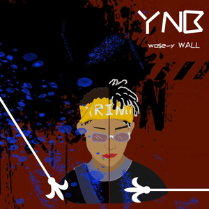 YNB