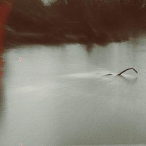 World's Worst Grilled Cheese