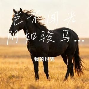 岂不闻光阴如骏马加鞭