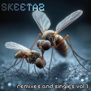 Shlop (Skeetaz two toe disco RMX) (RMX of EEPROM Original)