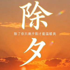 除了你只剩夕阳才能温暖我