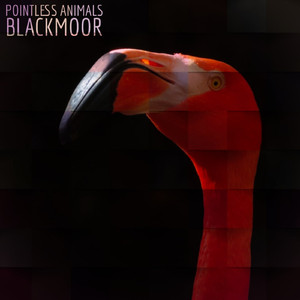 Blackmoor (Original Mix)